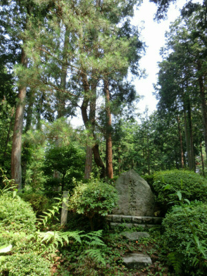 弥兵衛松